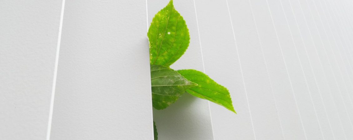 franck-v-1JePildXM7g-unsplash (1) franck-v-1JePildXM7g-unsplash (1)