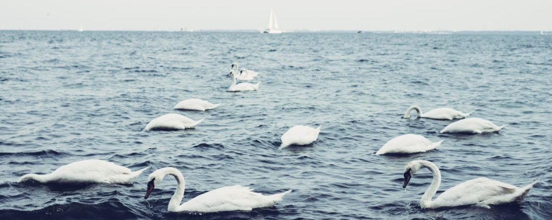 freestocks-ES7bjIwbrpI-unsplash (1) freestocks-ES7bjIwbrpI-unsplash (1)
