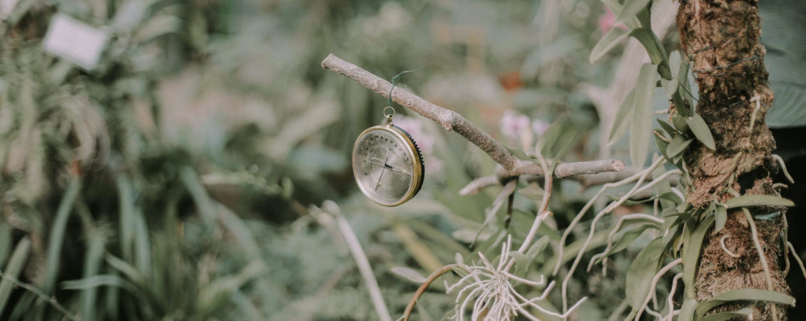 eduard-militaru-nSyI8hiJttI-unsplash (2) eduard-militaru-nSyI8hiJttI-unsplash (2)