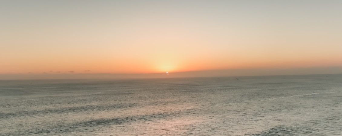 irfan-maulidi-TVaUxgMq6mI-unsplash irfan-maulidi-TVaUxgMq6mI-unsplash