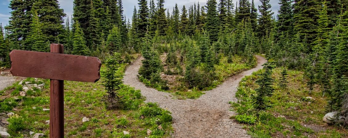 paths paths